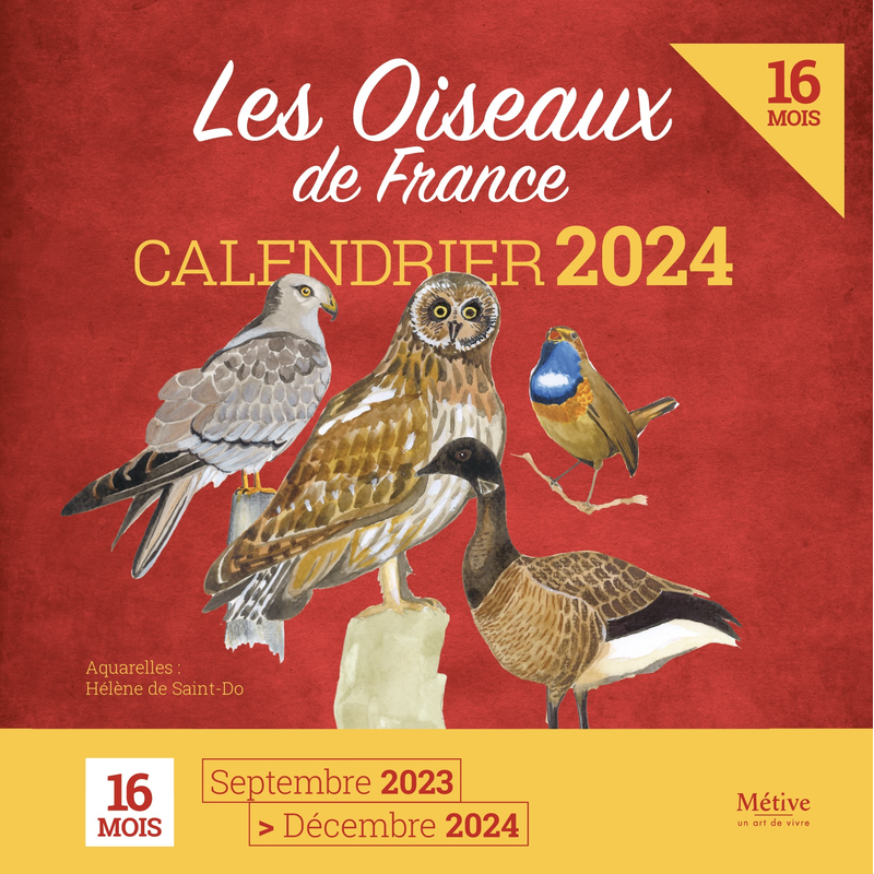 Calendrier 2024 - Les oiseaux de France - Métive - Geste Editions